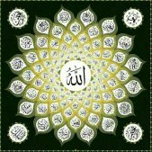 29716074_236672243570951_8356962599358693376_n